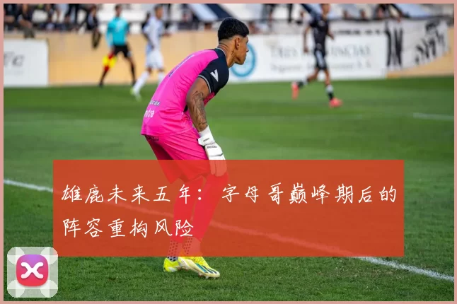 雄鹿未来五年：字母哥巅峰期后的阵容重构风险
