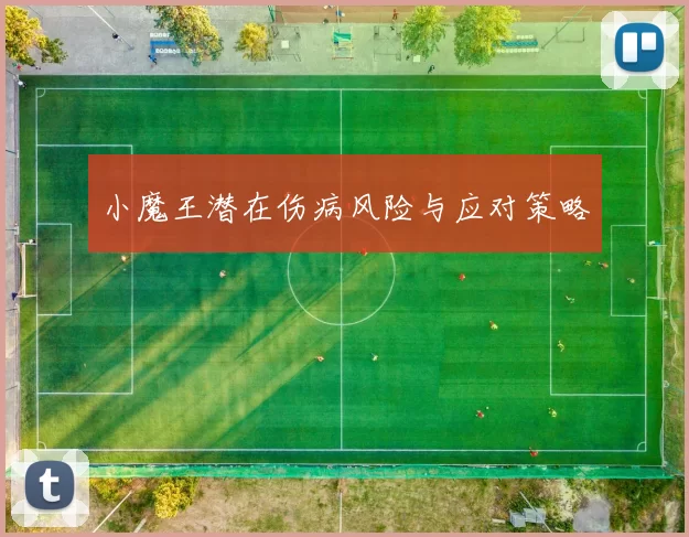 小魔王潜在伤病风险与应对策略