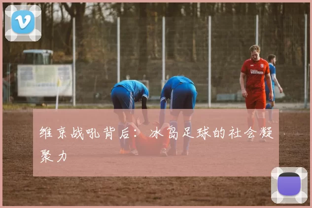 维京战吼背后：冰岛足球的社会凝聚力