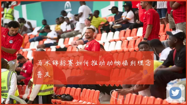 马术锦标赛如何推动动物福利理念普及