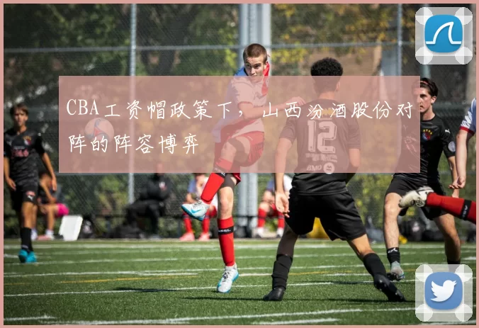 CBA工资帽政策下，山西汾酒股份对阵的阵容博弈