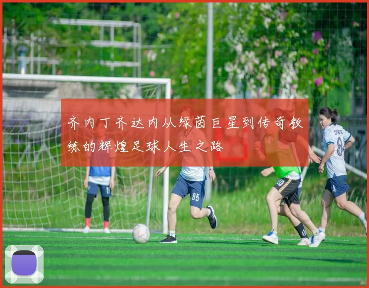 齐内丁齐达内从绿茵巨星到传奇教练的辉煌足球人生之路